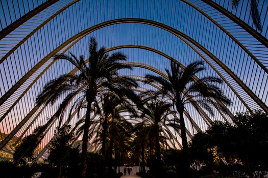 Stunning view of palm trees under an architectural archway at twilight.