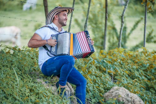 Gratis Fotos de stock gratuitas de acordeón, hombre, instrumento musical Foto de stock