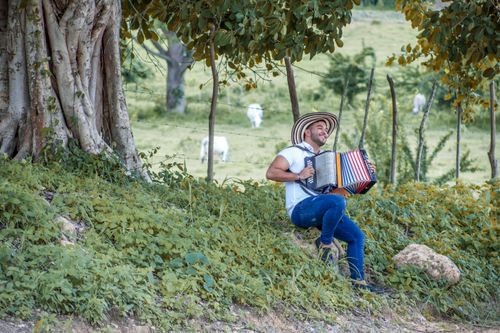 Free A joyful musician sits by a tree in Colombia, playing the accordion. Stock Photo