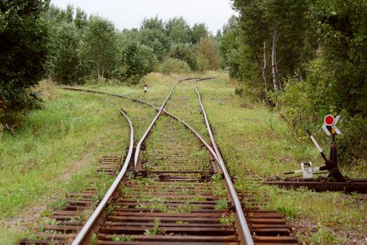 Railway tracks diverging through a lush, green forest. Captures nature and transport.