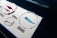White Red and Blue Round Plate