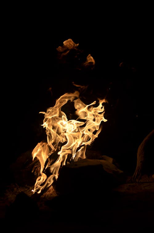 Photo of a Bonfire