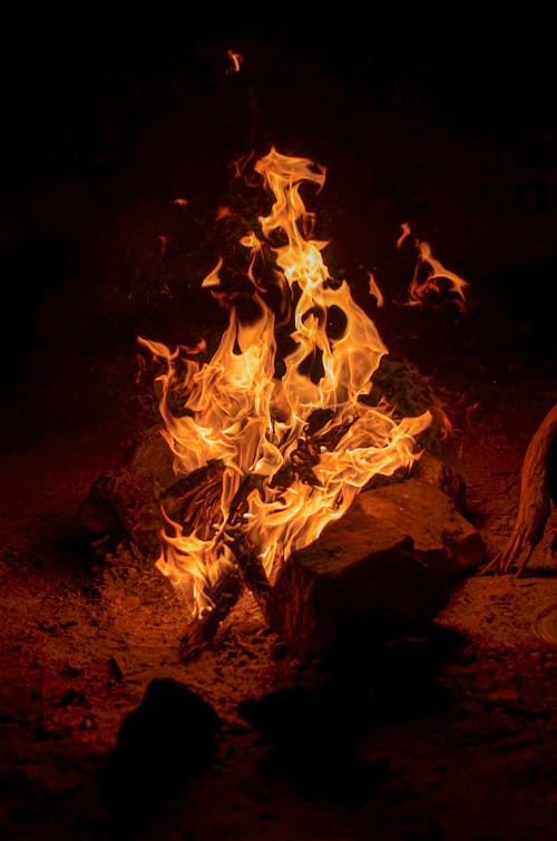 Základová fotografie zdarma na téma hoření, oheň, ohniště