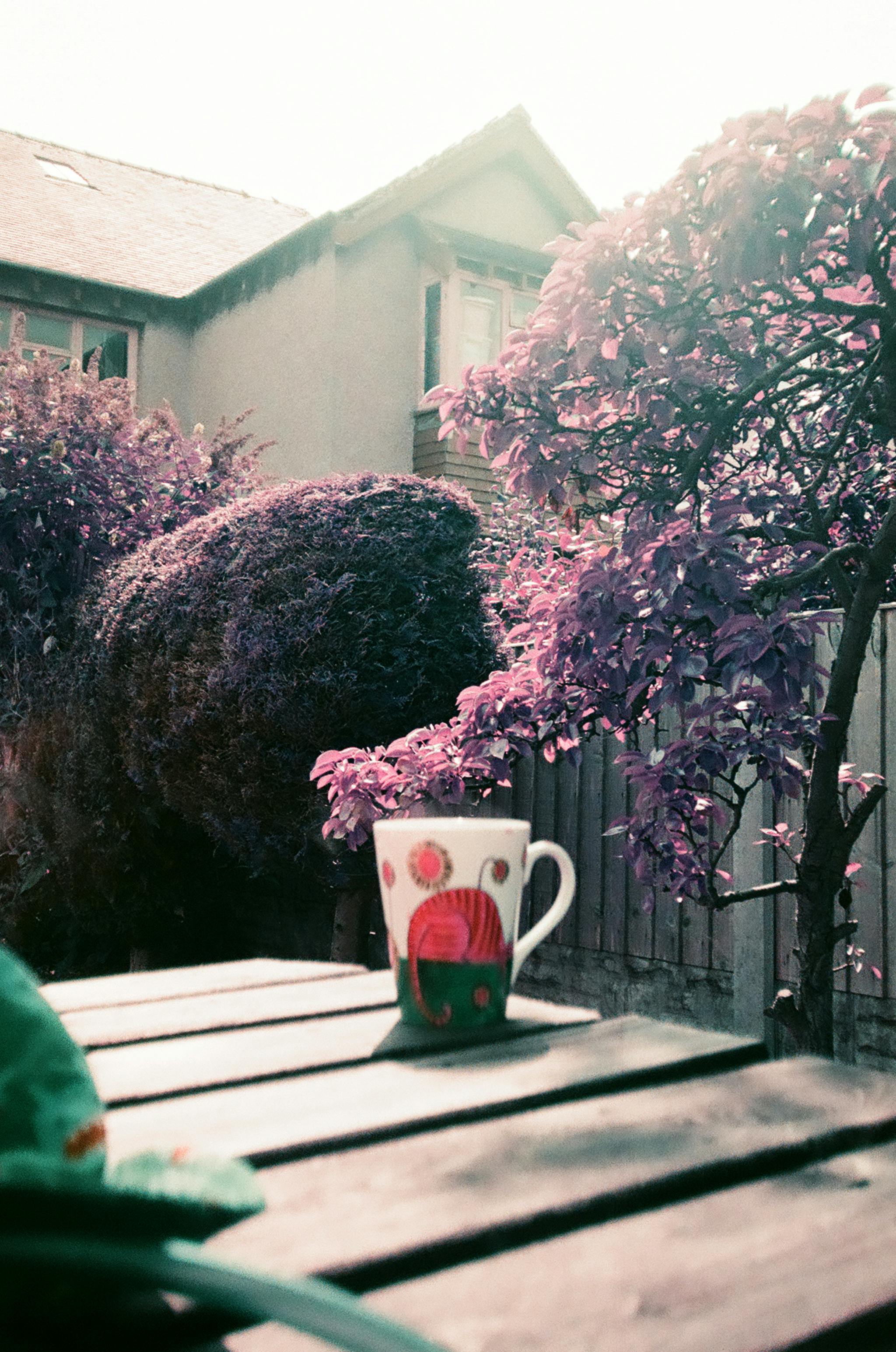 A tranquil garden scene features a colorful coffee cup on a wooden table surrounded by lush foliage.