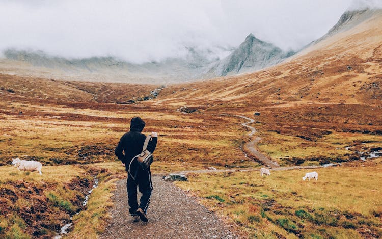 Man In Black Hoodie Walking On Path