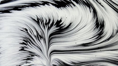 Bezpłatne Darmowe zdjęcie z galerii z czarno-biały, obraz, projekt Zdjęcie z galerii