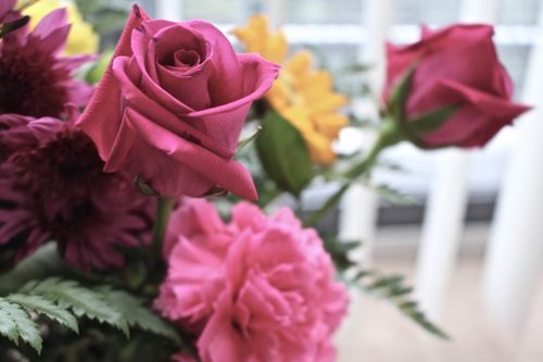 Free Close-up of a vibrant bouquet featuring pink roses, carnations, and assorted flowers in a bright setting. Stock Photo