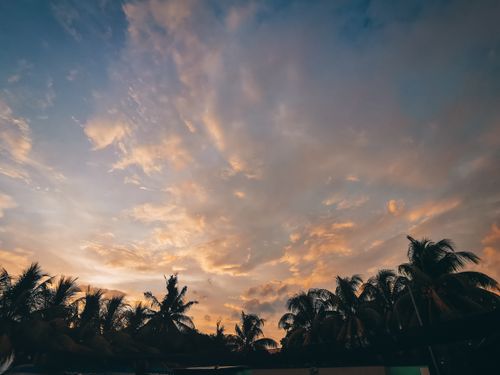 Free Beautiful sunset sky with coconut trees creating a serene tropical view. Stock Photo