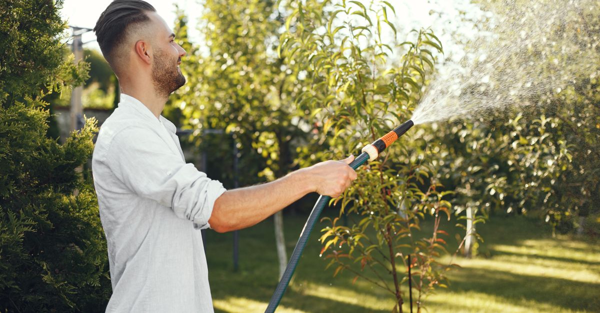 Why Your Garden Hose is Always Tangling and Kinking (And The Simple Solutions Most People Overlook)