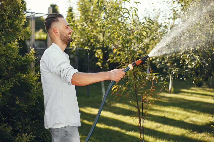 Smiling man in a white shirt watering plants in a lush green garden. Bright and clear day.