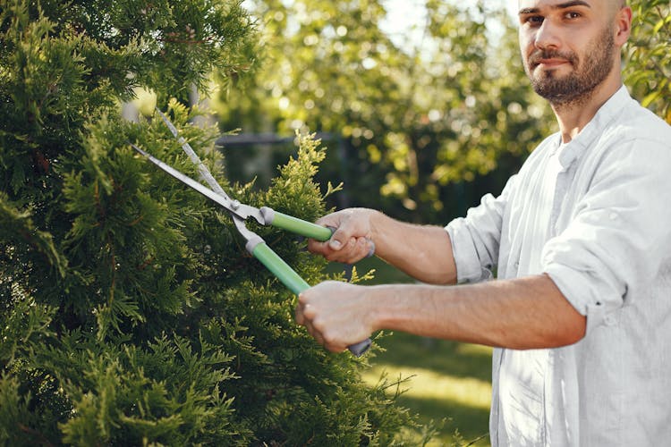 Man In Gray Long Sleeve Shirt Cutting Trees