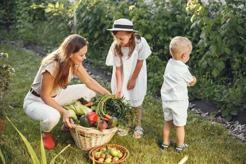 Free A mother and her children picking fresh vegetables in a sunny garden. Stock Photo