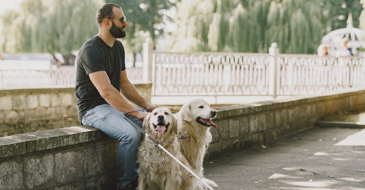 Comment un chien peut améliorer votre santé à la retraite