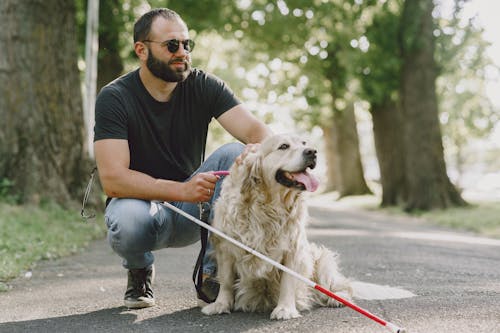 Free Man in Black Crew Neck T-shirt and Blue Denim Jeans Holding White Dog Stock Photo