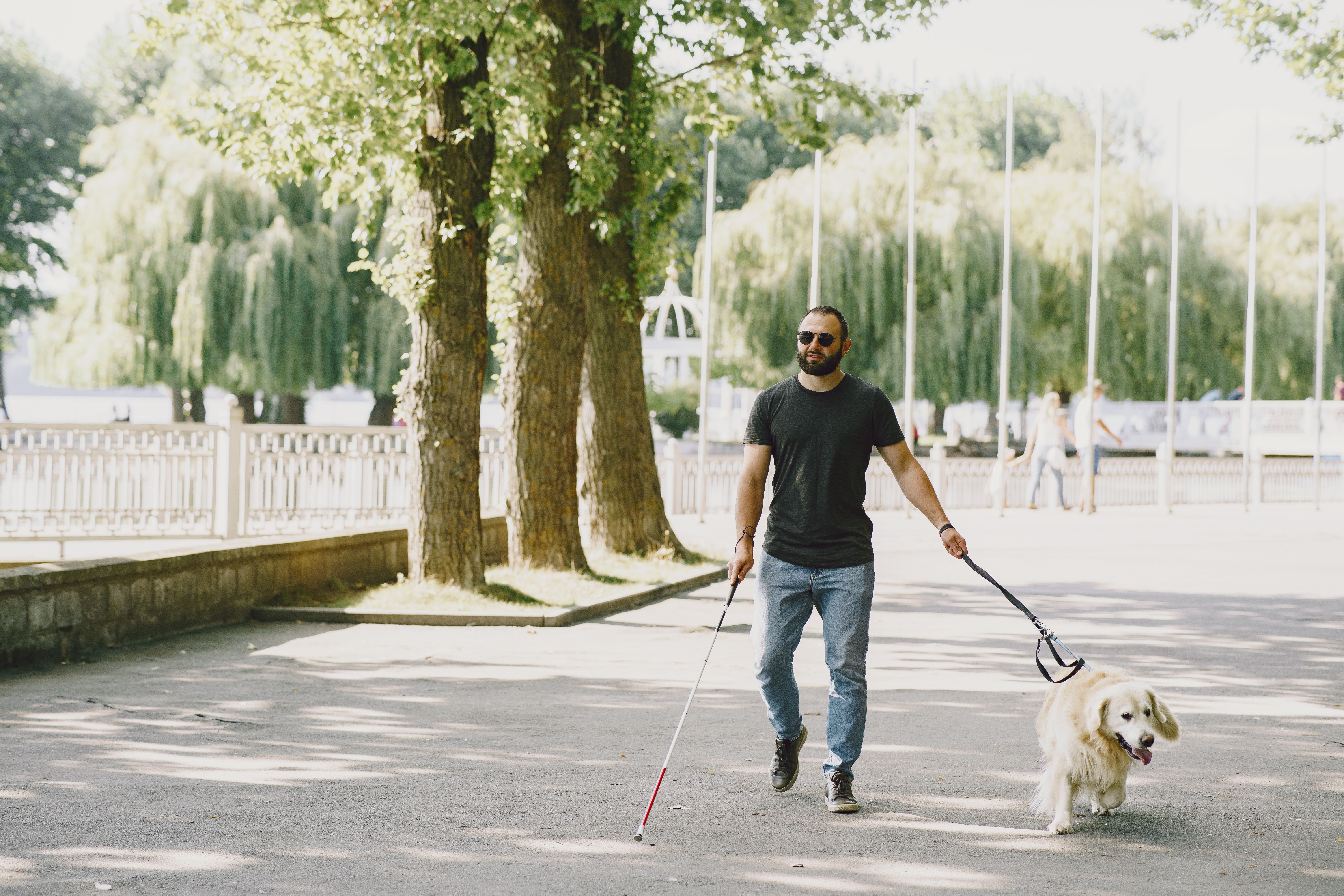 Summer Outdoor Mobility Guide: How to Choose the Perfect Moo