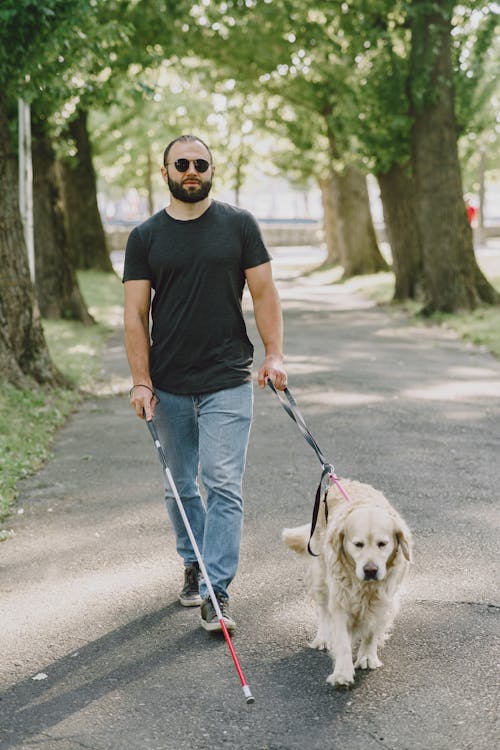 Man in Black Crew Neck T-shirt and Blue Denim Jeans Walking with his Dog