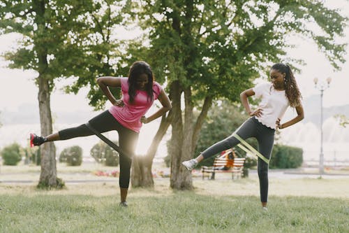 Gratis lagerfoto af afroamerikanske kvinder, aktiv, aktivitet