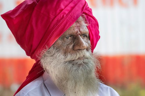 Thoughtful wise elderly Indian Sikh with beard in turban