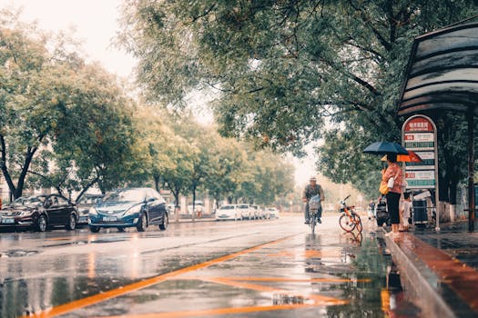 People wait under umbrellas at a Beijing bus stop while a cyclist rides by on a rainy day.