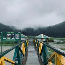 一座雾气弥漫的木桥，横跨在绿树环绕、烟雨朦胧的湖面上