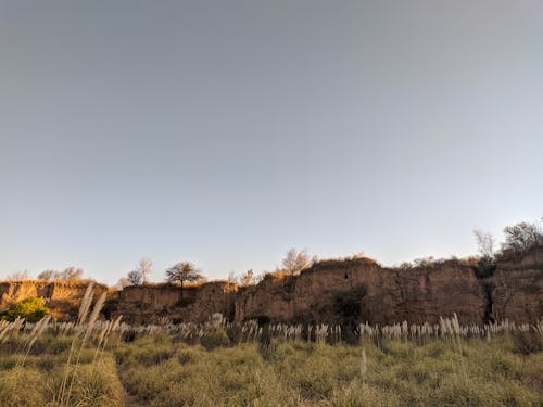 Foto d'estoc gratuïta de cel, foto amb angle baix, muntanya rocallosa