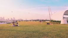 People on Green Grass Field