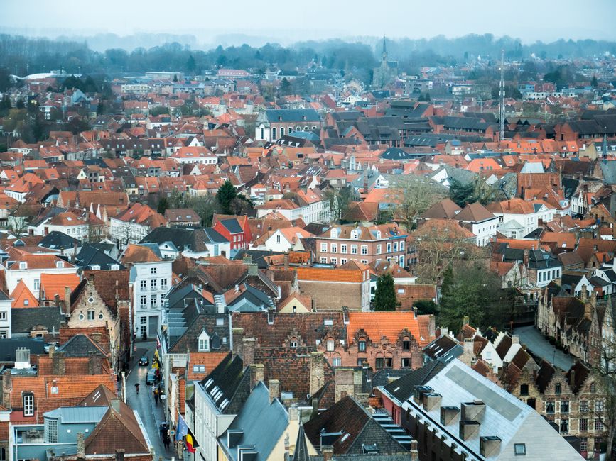 Quel visa choisir pour vivre en Belgique ?