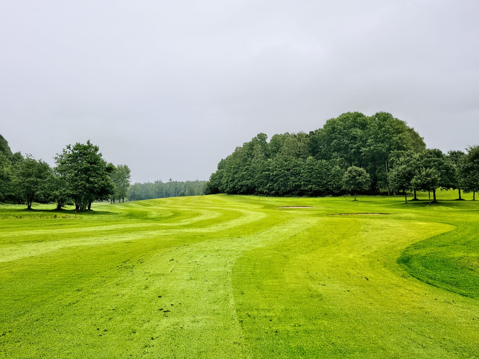 Cattails Golf Course at MeadowView (via Wikimedia Commons)