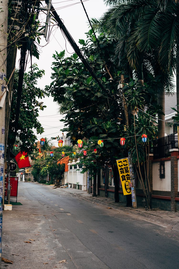 Empty Street