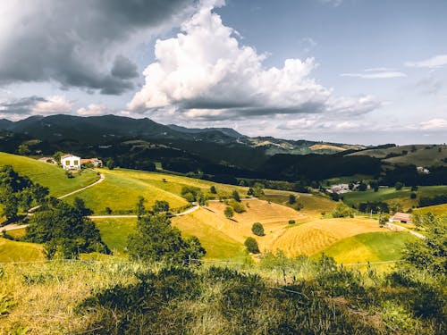 Green Grass Field Under White Clouds