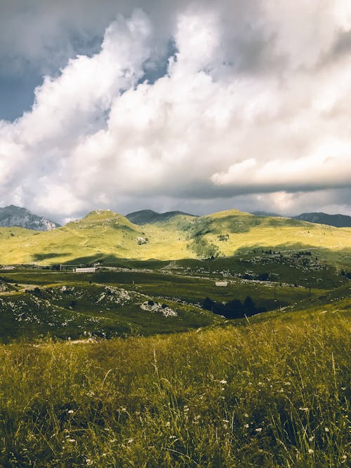 Green Grass Field Under White Clouds