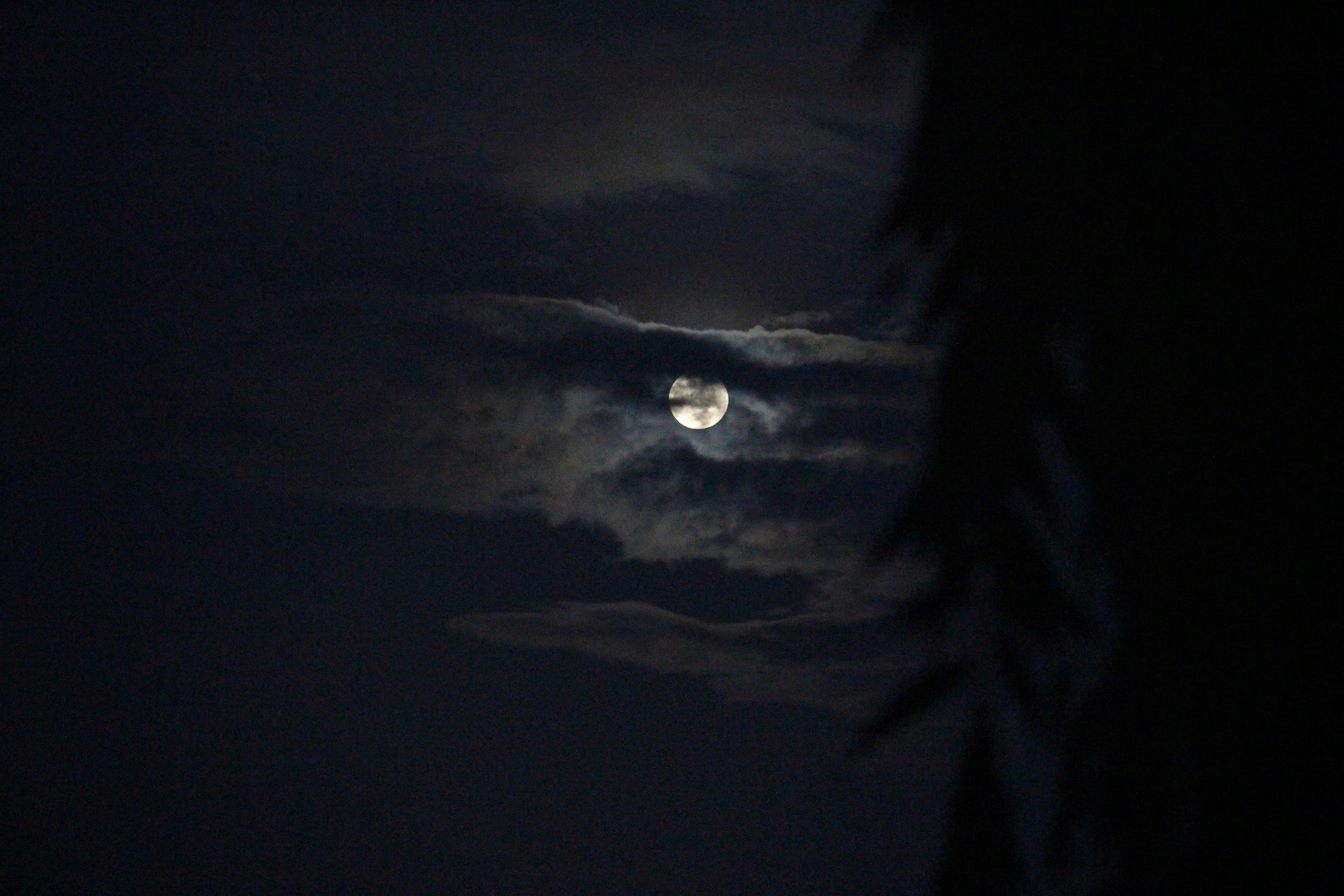 Free stock photo from Tejas · Pexels