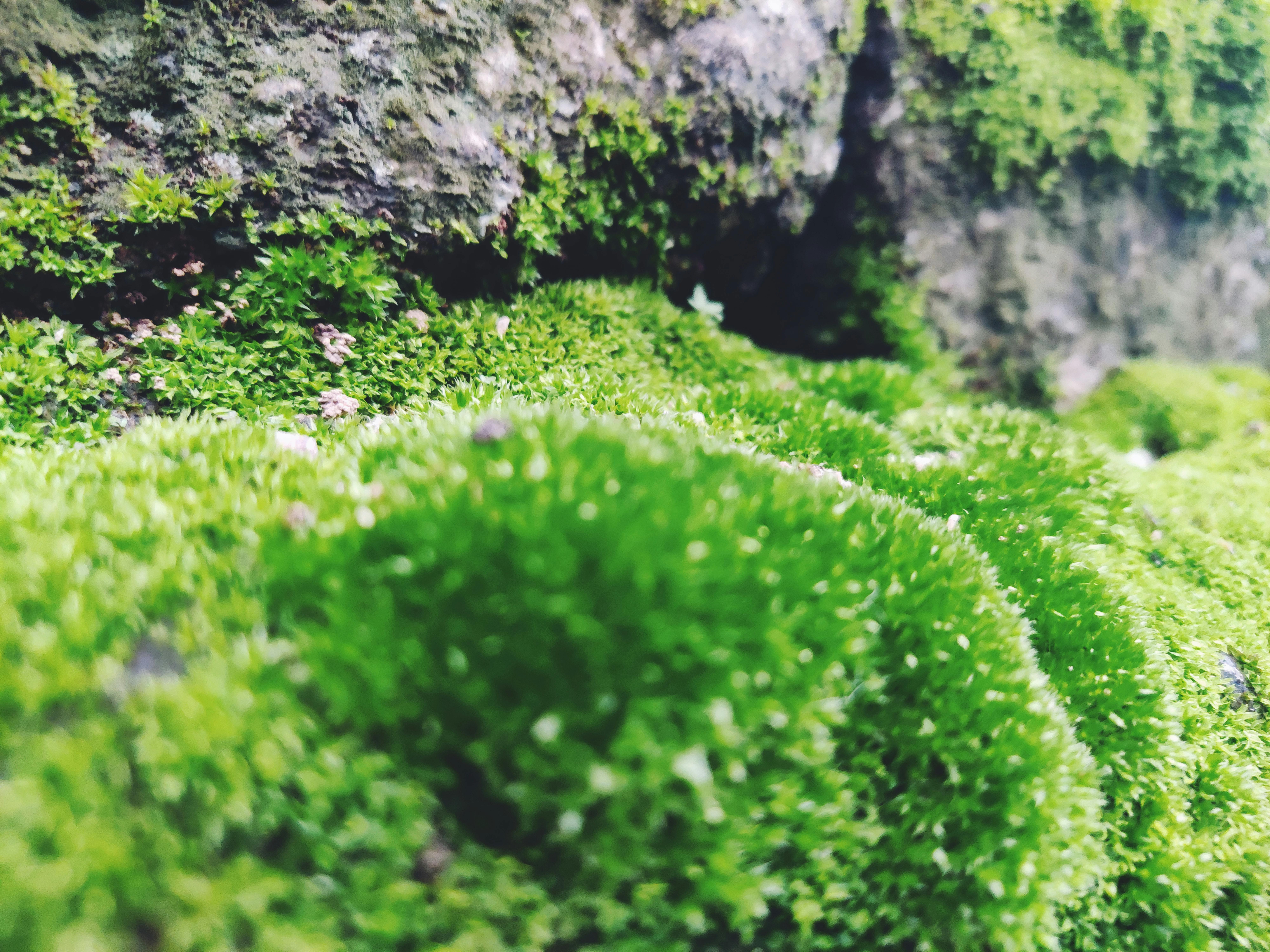 شخص يقارن بين خيارين على شاشة