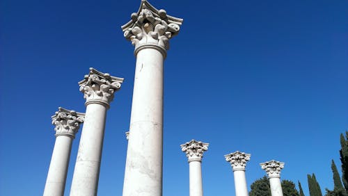 From below of aged white columns with carved ornaments among cypress trees under clear sky