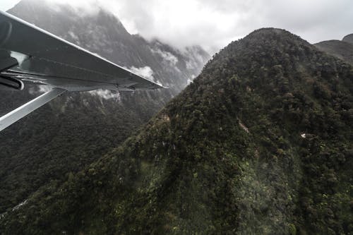 Free คลังภาพถ่ายฟรี ของ ธรรมชาติ, นิวซีแลนด์, ผักใบเขียว Stock Photo