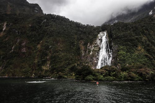 Free stock photo of boat, lake, milford sound