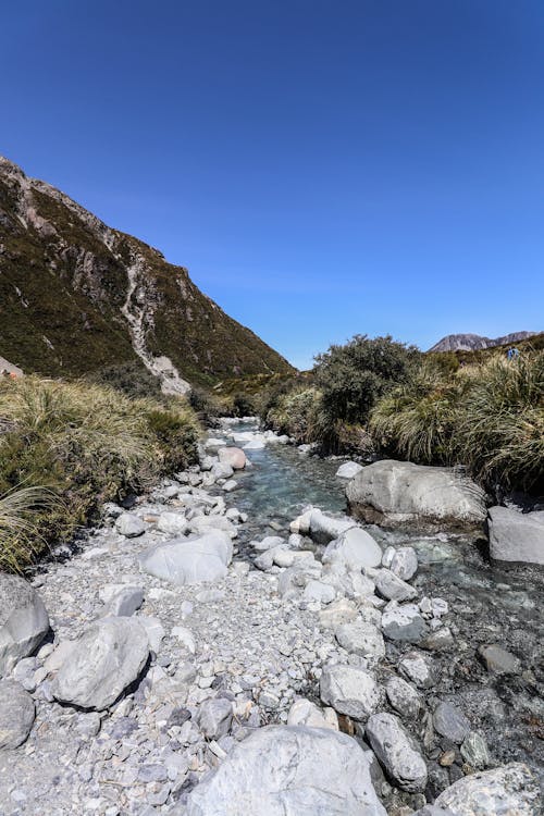 Free stock photo of nature, scenic, stream