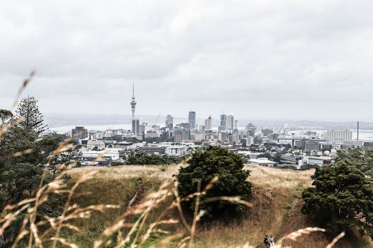 View Of City Buildings