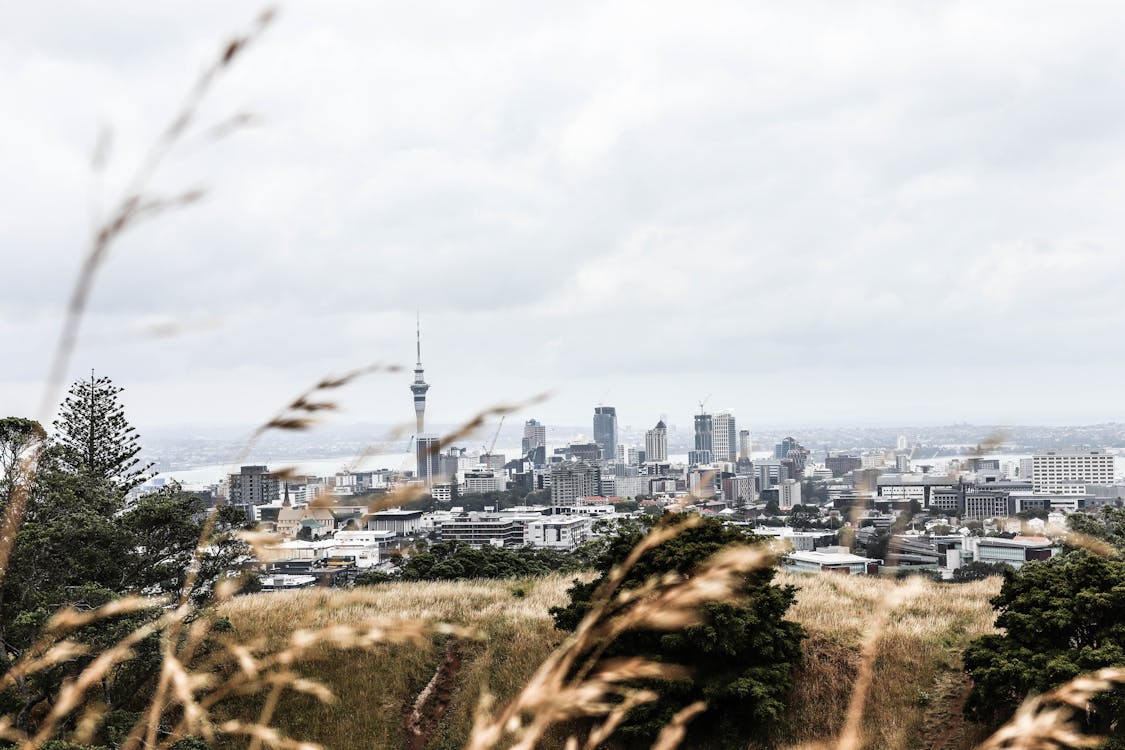 Free stock photo of auckland, nature, structure