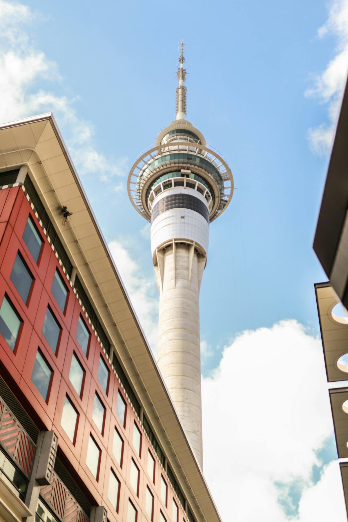 Auckland city skyline across the harbour — where By Rocket is based