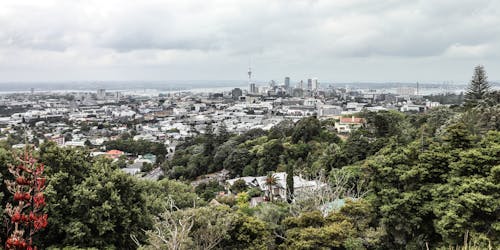 Free stock photo of auckland, nature, structure