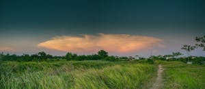 黄昏时分，宁静的乡村风光中，郁郁葱葱的绿色田野与充满活力的日落天空相映成趣