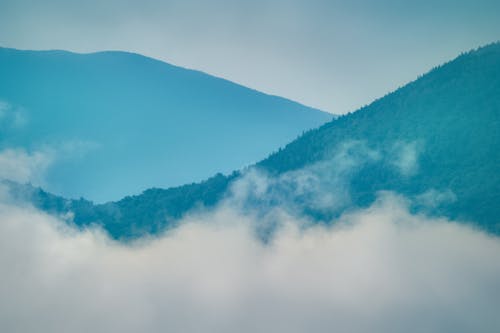 Picturesque scenery of green hills with trees surrounded with white haze under clear sky in daytime