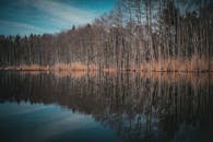 宁静的河景、森林倒影和晴朗的天空，唤起一片宁静