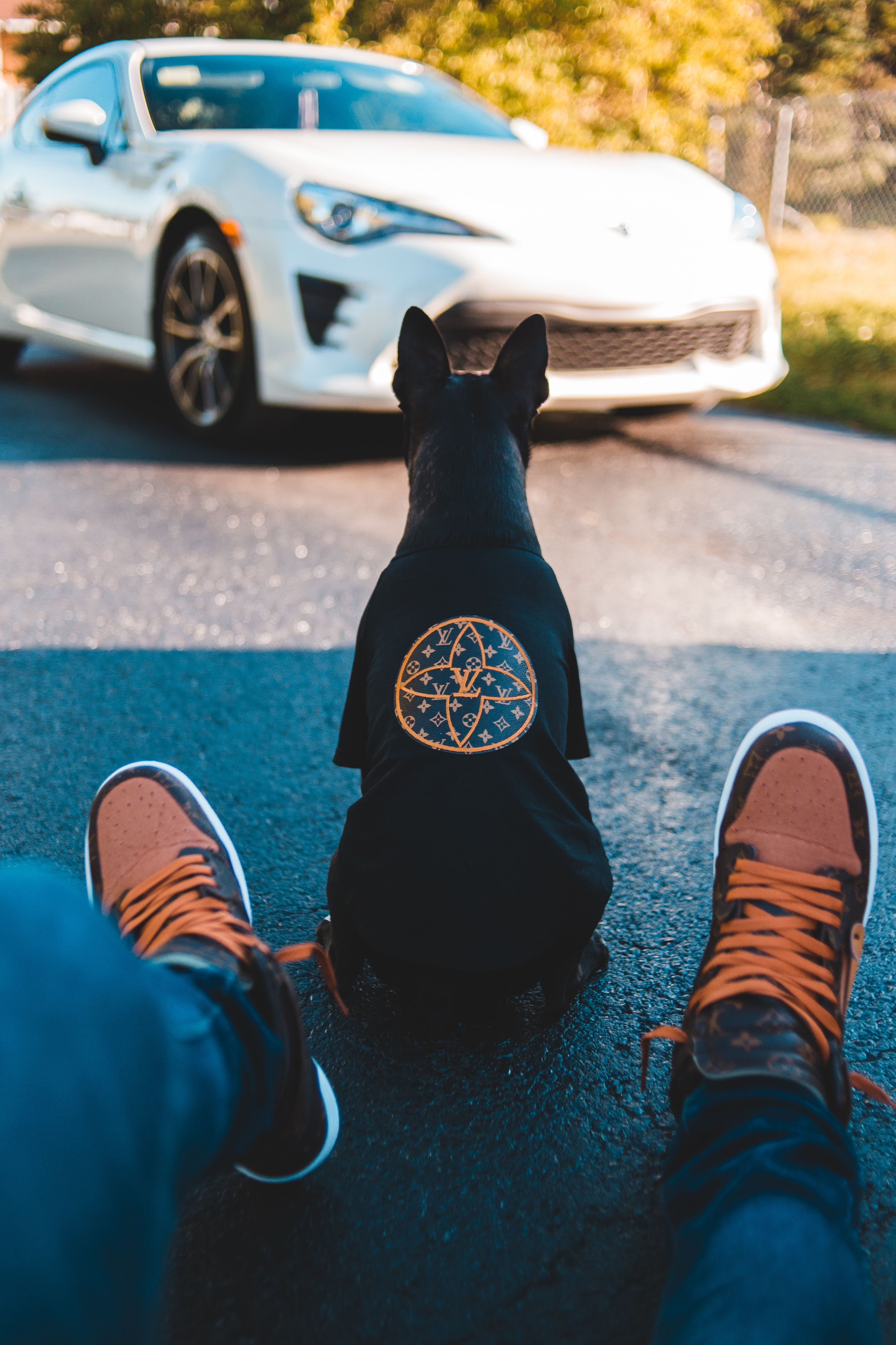 Crop anonymous person resting with pet in trendy costume near prestige expensive white car