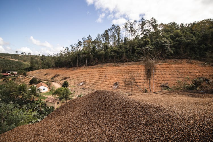 Land Clearing Above The Mountain