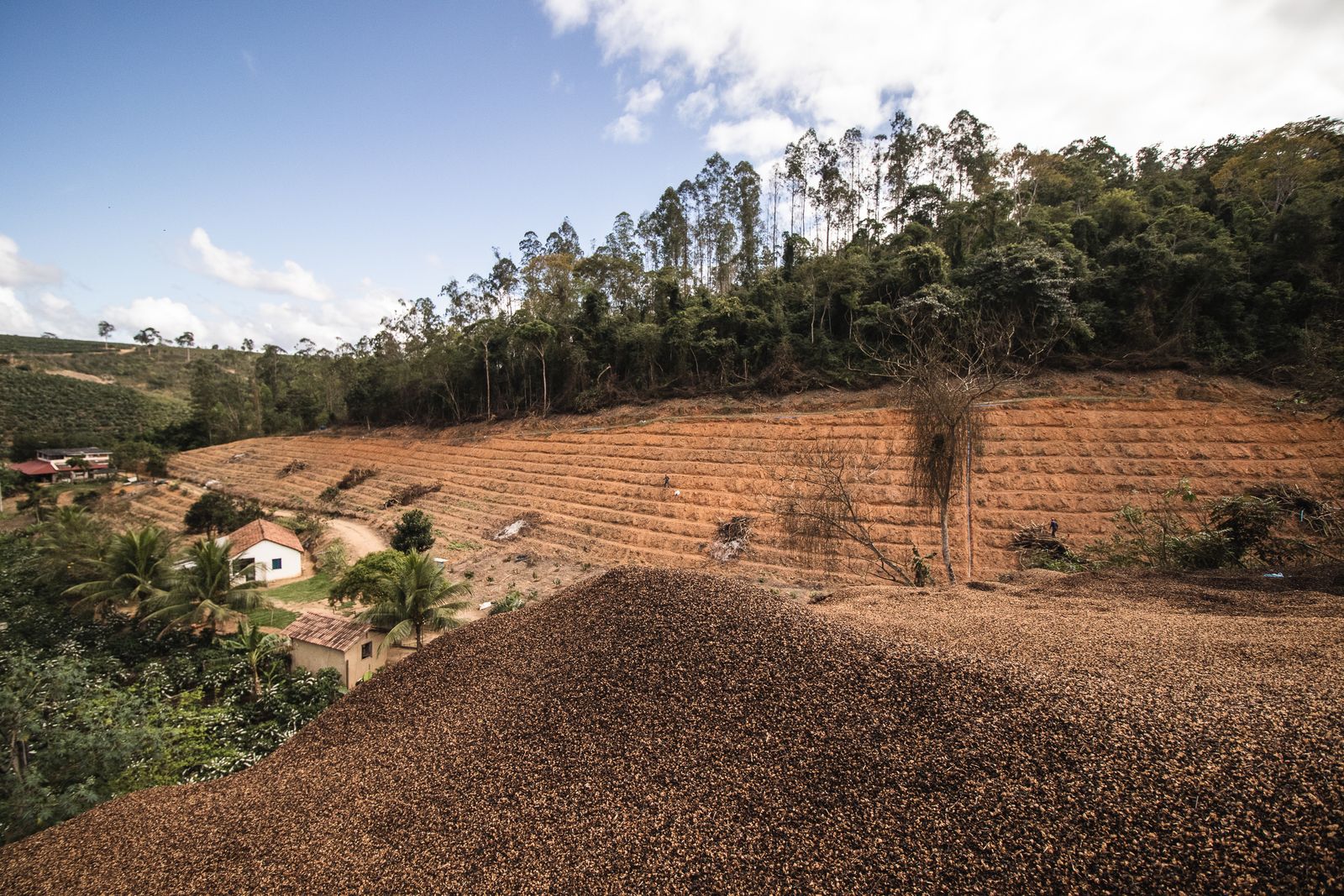 Ladera de cerros con chacras verdes divididas en parcelas y algunas casas pequeñas de techo claro repartidas entre ellas