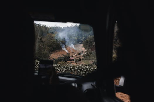 Scenic view of farmland with smoke and forest from inside a vehicle, perfect for nature and travel themes.