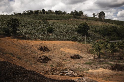 Farmland Under Cloudy Sky