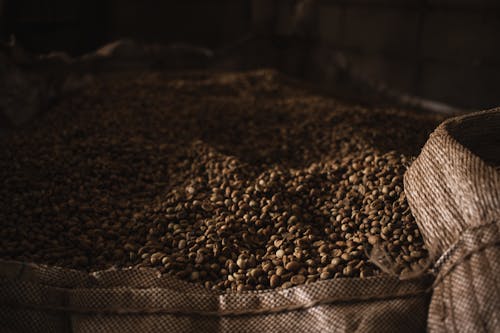 Základová fotografie zdarma na téma kávová zrna, sáček